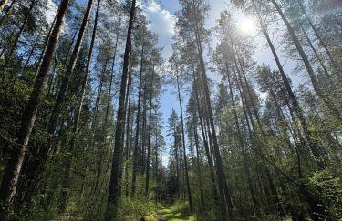 Agroturystyka Żółta Ostoja - Foto 6