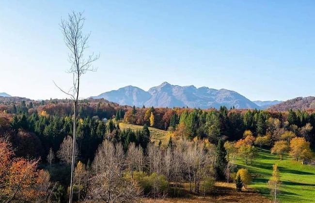 Residence Caporale - Photo 20