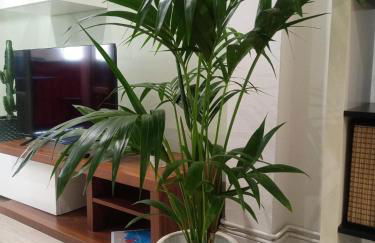 Casco Viejo, tranquilo, reformado, Bilbao a pie - Foto 8