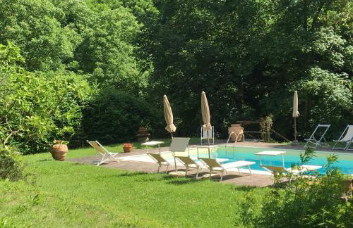 Relax totale nel Bosco Lucca - Foto 12