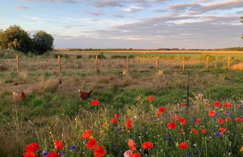 Elm Cottage at Gravel Farm - Photo 20