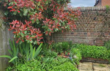 CHERRYTREE COTTAGE @ LOMOND - Foto 13