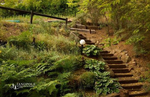 Siedlisko Janopole - Foto 54