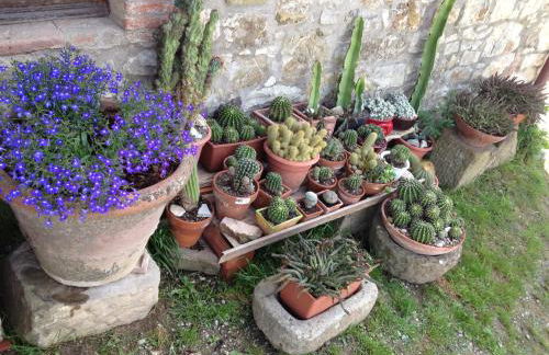 Dolcevita Chianti Apartments - Foto 24