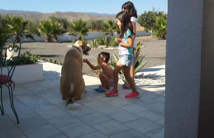 Cortijo Oro Verde B&B - Foto 17
