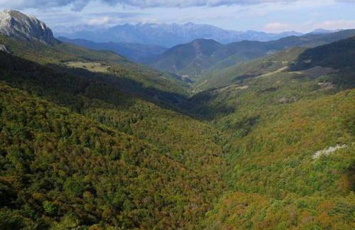 Casa el Viñadal - Foto 37