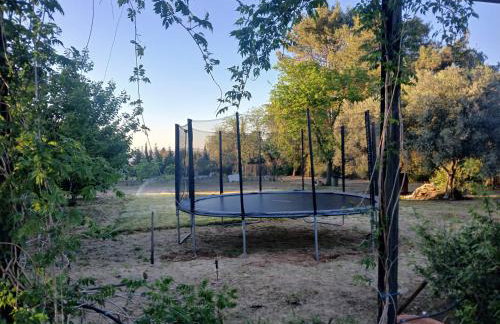 Spacious Garden Villa, private pool, huge grounds with orange trees - Foto 7