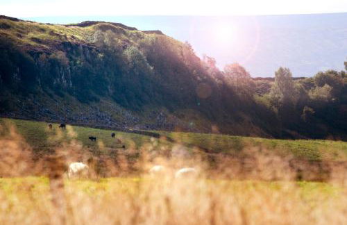 Roman Height's Holiday Cottages - Foto 28