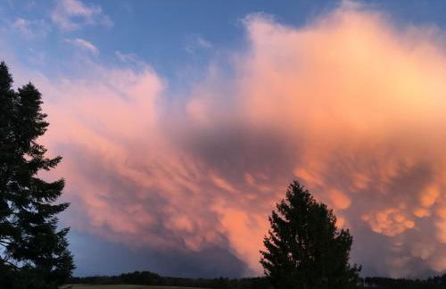 Eifelcottage Wren - Foto 26