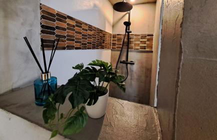 Gîte Spa "La Foret Argentée" proche Gérardmer - Foto 37