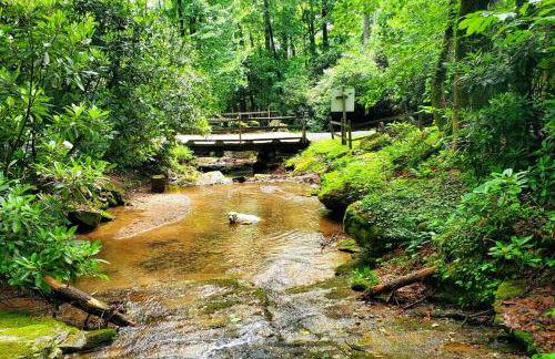 Big Timber Creek Cabin - Foto 20