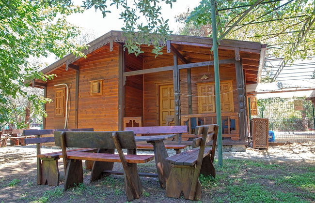 Luna Dorada Hotel - Foto 46