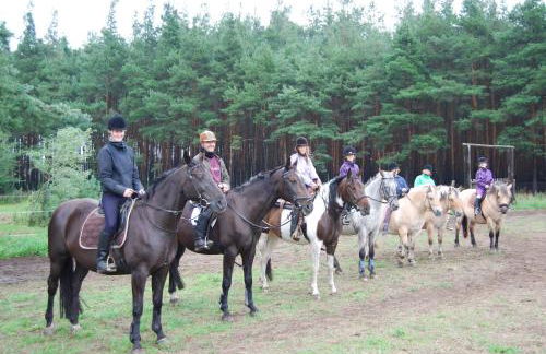 Zum Pferdestall - Foto 29