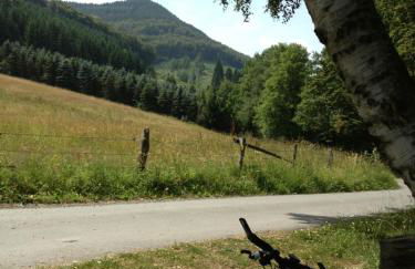 Haus Schnurbus - Foto 32