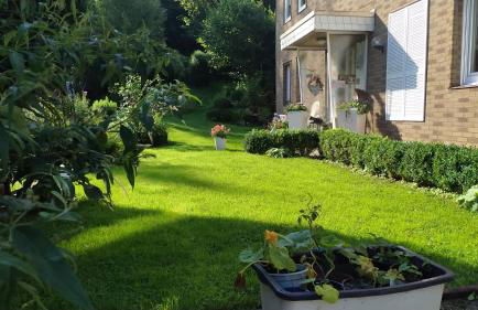 Fewo im Grünen - Foto 1