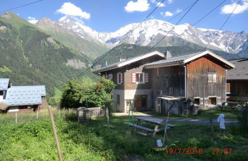 Les passereaux - Photo 1