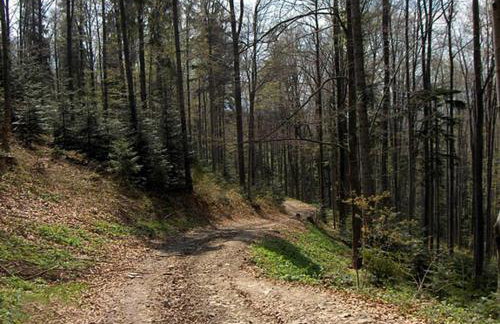 Gospodarstwo Agroturystyczne Watra - Foto 52