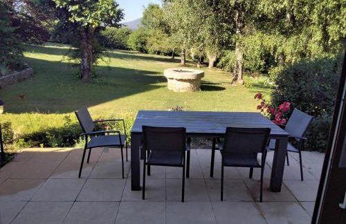 le héron cendré - Foto 23