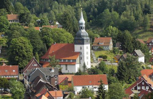 Ferienwohnung Harzblick - Foto 20
