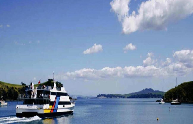 Waiheke Island Hop-On Hop-Off Explorer Bus from Auckland (Small Group Tour) - Walk-up Ferry Return - Foto 5