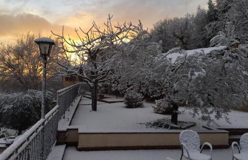 Il renaiolo - Foto 22