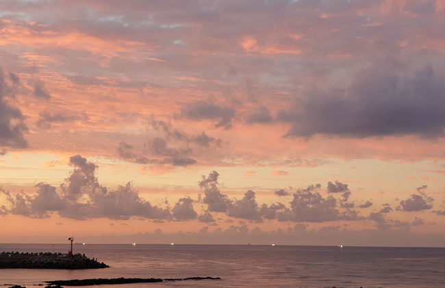 Jeju Ollero - Foto 49