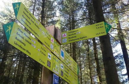 Ferienwohnungen Nibelungenwald - Foto 19