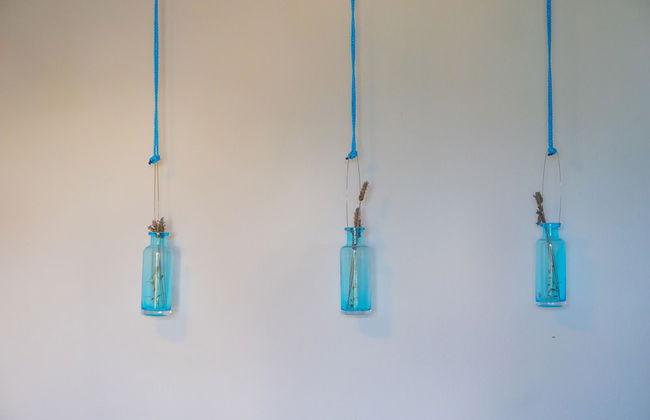 Victorious VIScovery Green - Foto 26