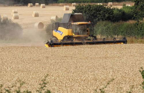 27 Whitegates - Foto 37