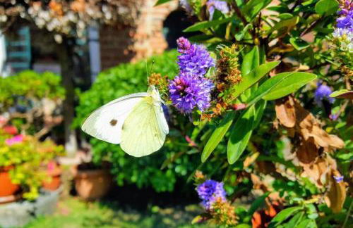 Bellavista la tua romantica vacanza sul Trasimeno - Foto 29