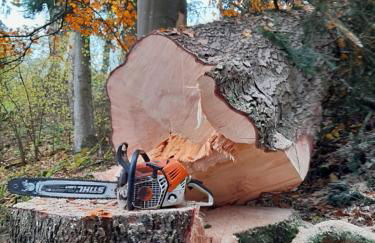 Tischneck Chalets - TraumFerienhäuser im Schwarzwald - Chalets Riva & Limone - Foto 11