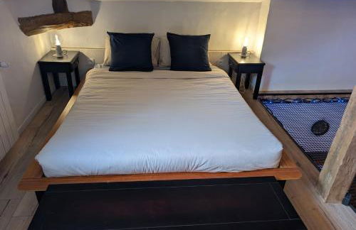 loft duplex du moulin de labarthe - Photo 14