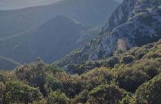 Les 2 voûtes - Mas provençal pour 10 personnes - Foto 15