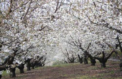 Tenuta Fortelongo - Foto 81