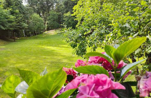 DOMAGAŁA domek całoroczny - Foto 15