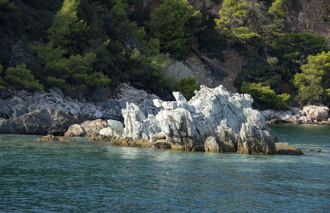 Maestralia - Foto 47