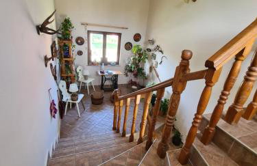Apartman Bepo - Photo 12