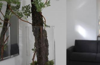 Ferienwohnungen Brack in Gaggenau - Foto 12