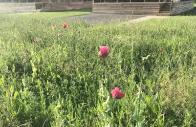 2 Bedroom Log Cabin - Photo 17