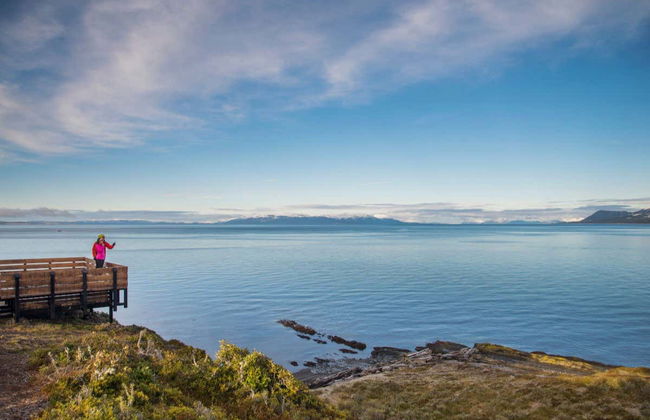 Excursión al Fuerte Bulnes - Foto 5