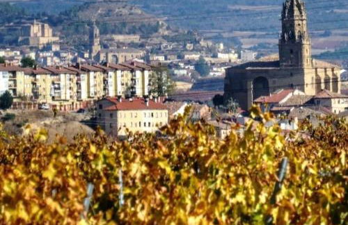 Garnacha Tinta VT-LR-2179 - Photo 45