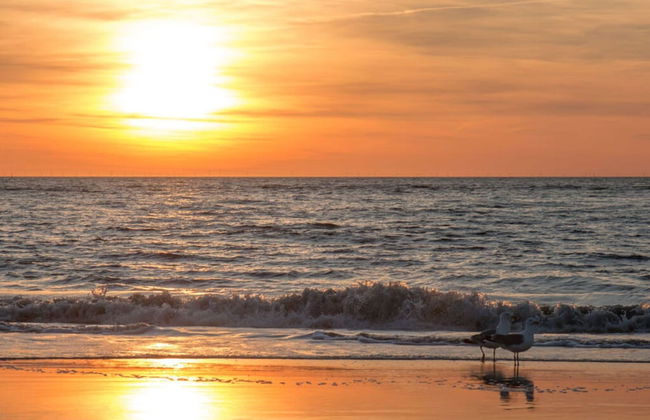 Schatz Comfortable Holiday Residence - Foto 32