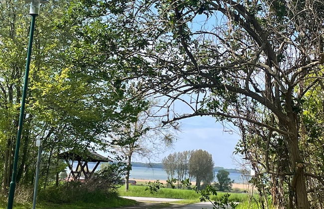 Bungalow Park am Salzhaff - Foto 48