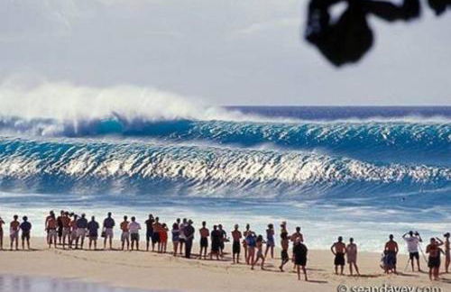 Turtle Bay Perfect Family Destination near beach - Foto 13