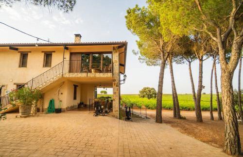 Casa Rural en Bodega. La posada de Vitis - Foto 32