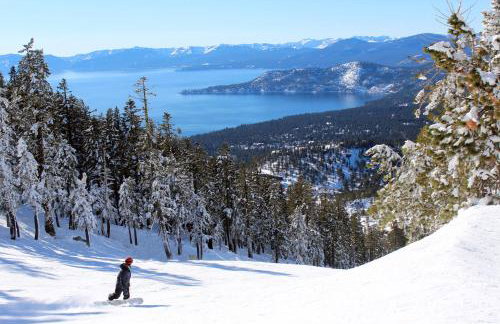 McCloud 176 - Foto 36