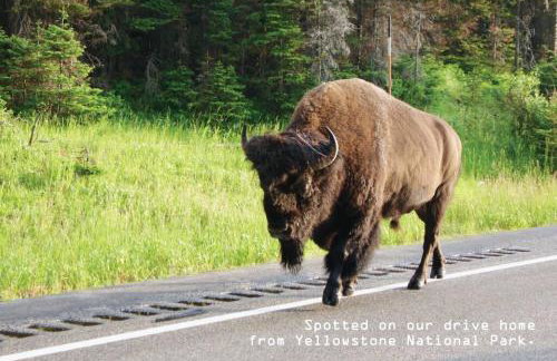 Brand NEW Cabin in the pines - Foto 5