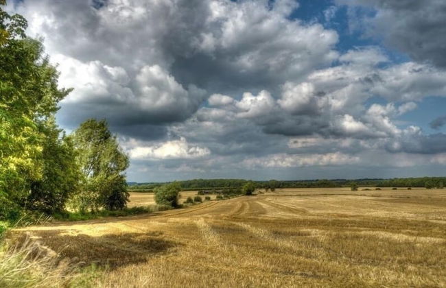 Woodfield House - Photo 35