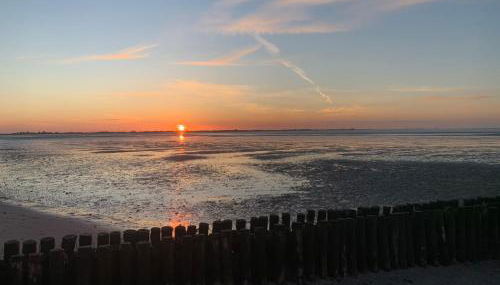 Ferienwohnung -Kiek rin- Wiesmoor Ostfriesland - Foto 2