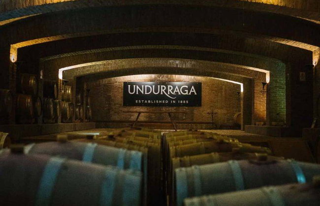 Excursão à Vinícola Undurraga - Foto 2